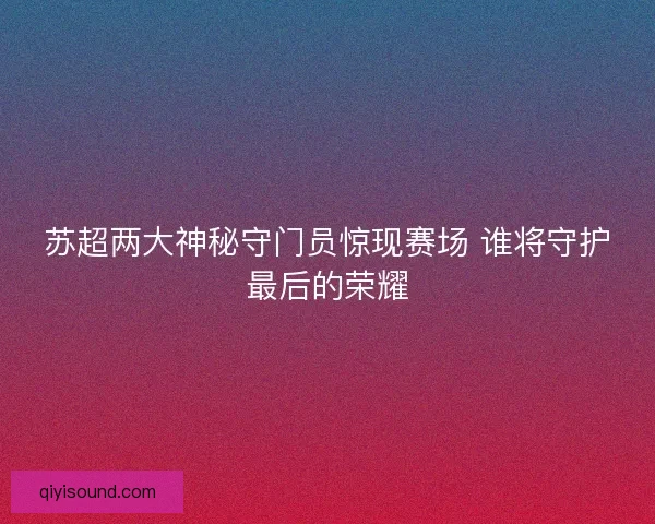 苏超两大神秘守门员惊现赛场 谁将守护最后的荣耀